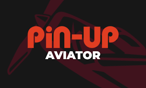 Summary of the PIN UP Companions associate program